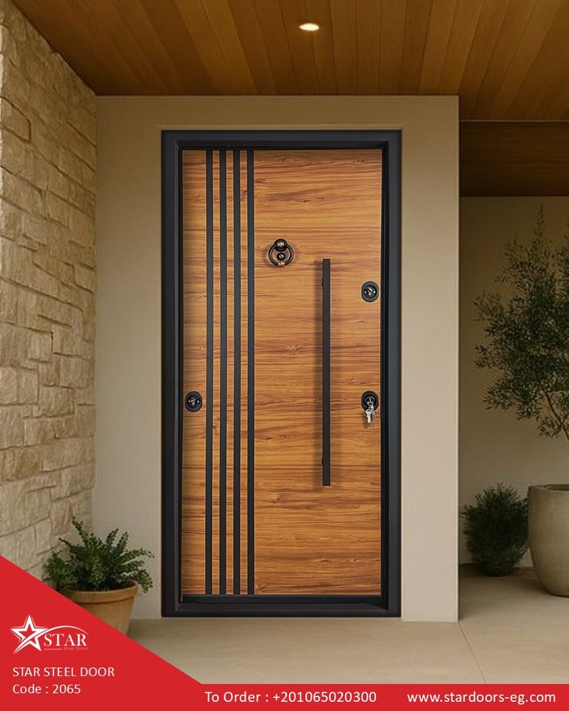STAR STEEL DOOR 2065